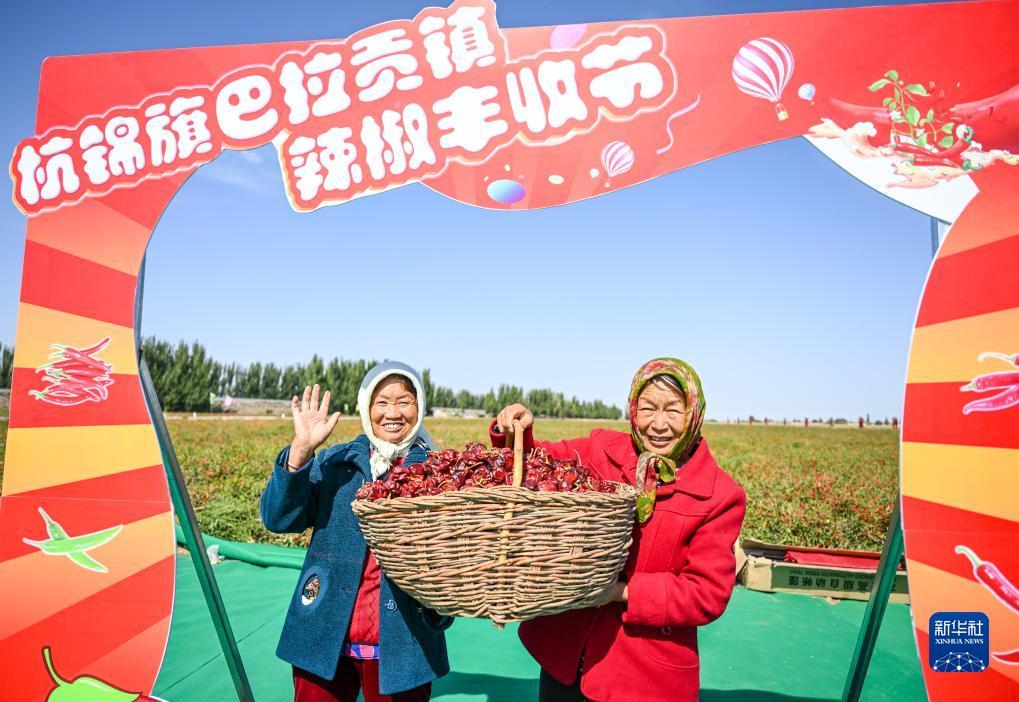 pg游戏太坑了